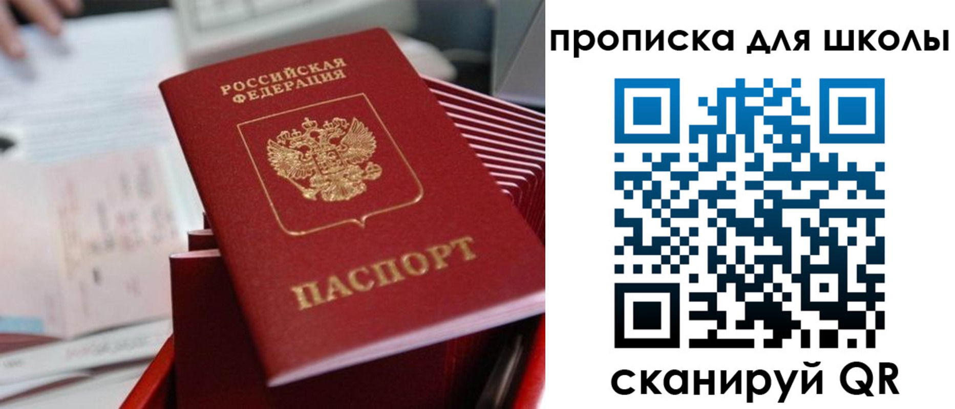 прописка для школы в Курчатове